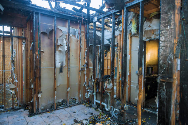 Professional Emergency Fire Cleanup technician working in Orlinda, TN